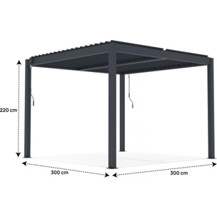 Pergola bioclimatique en aluminium "Windsor" - 3 x 3 m - Anthracite