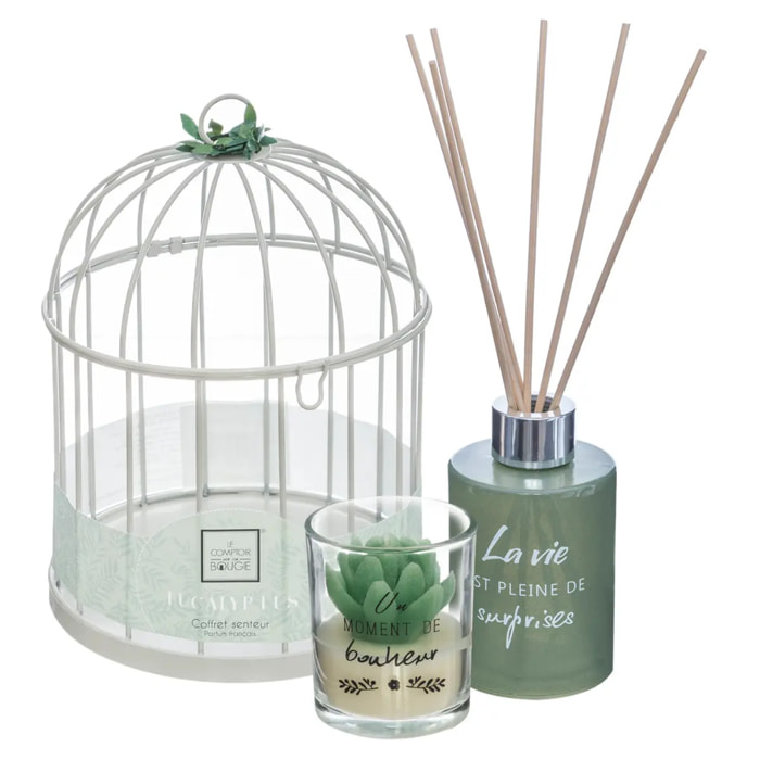 Coffret cadeau cage "Zen" - Eucalyptus