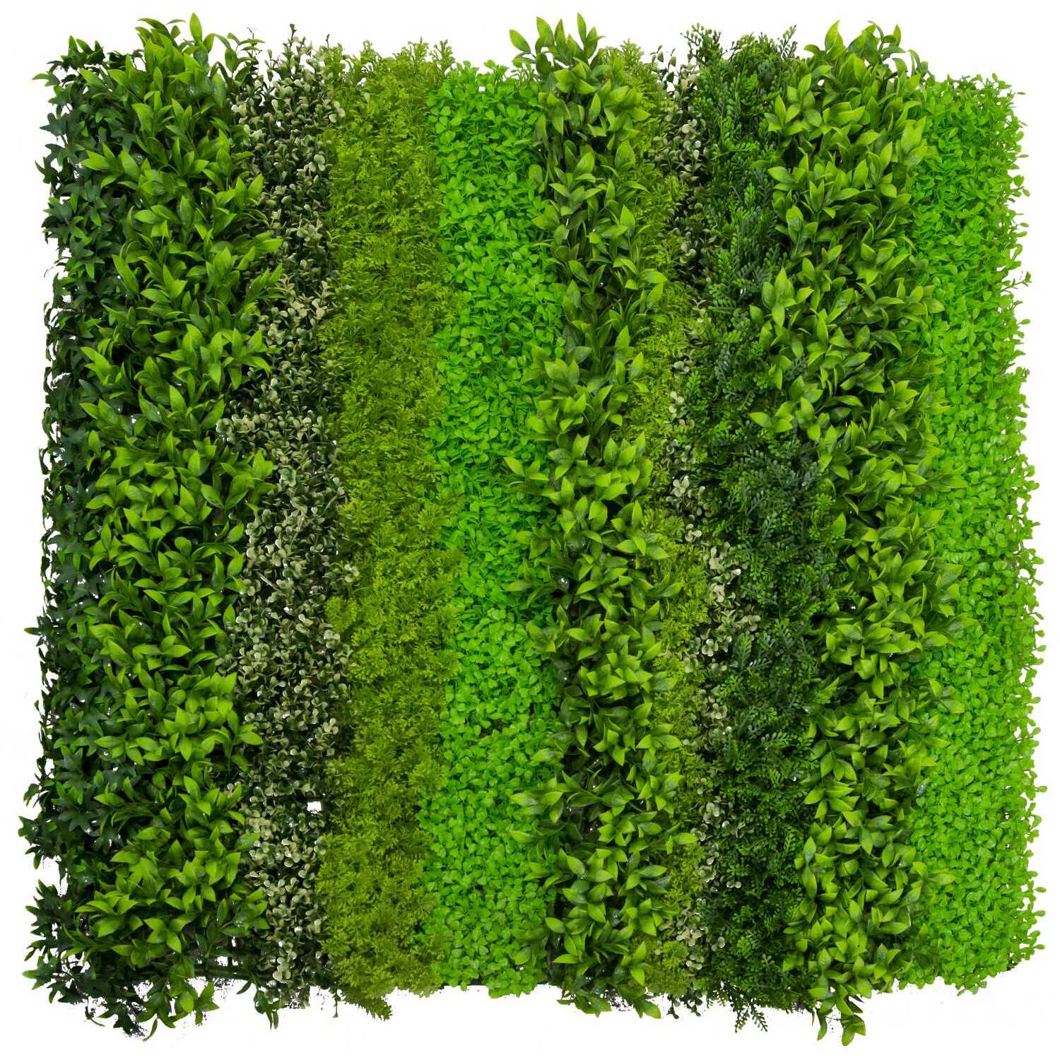 Parete verde verticale Vacchetti cm100x100