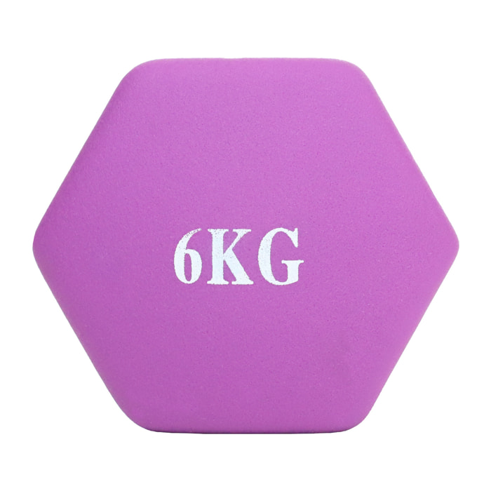 Neo Dumbbell 1 Pair Kg 6