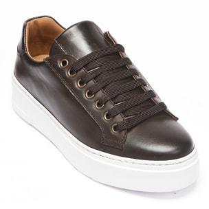 Classic Lace-up Sneaker British Passport Testa di moro