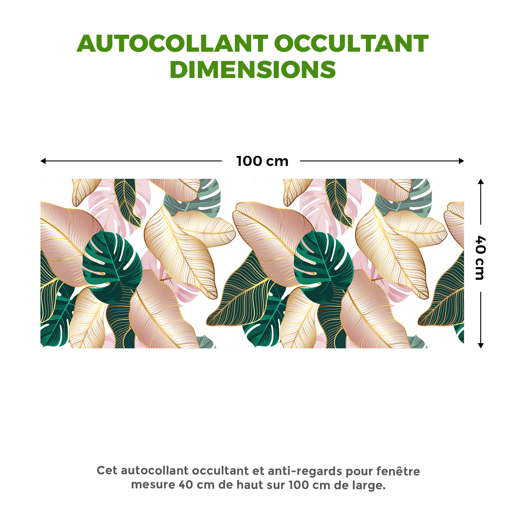 Adhésif Film Fenêtre Anti Regard Occultant - FEUILLES TROPICALES