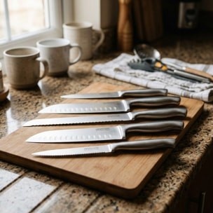 Ensemble de 5 couteaux de cuisine professionnels en inox de 24 à 33,5 cm Nirosta Star