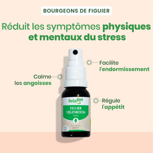Herbalgem- Bourgeon de Figuier - spray - Bio - 15 ml