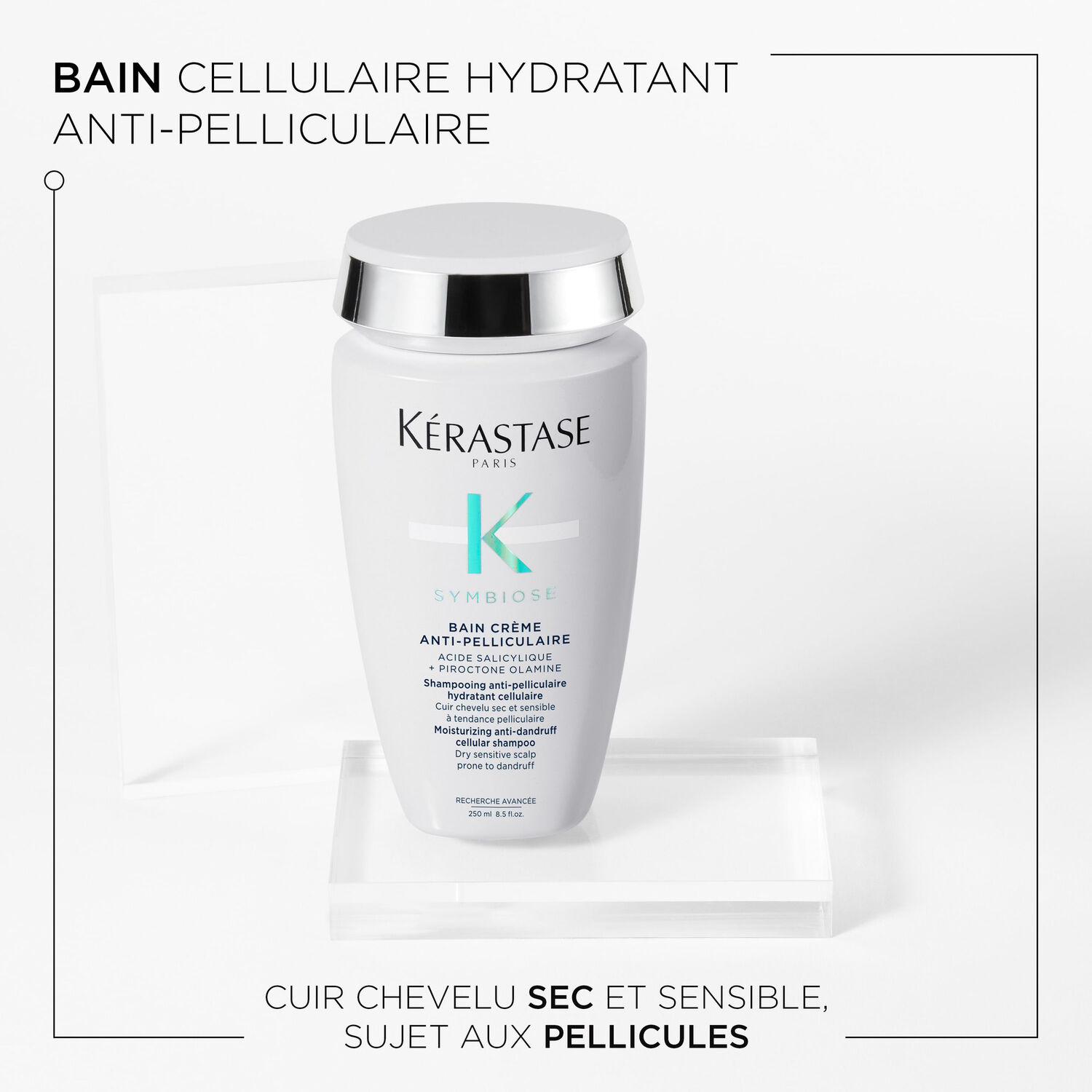 Symbiose - Shampoing anti-pelliculaire purifiant destiné aux cuirs chevelus secs et sensibles 250 ml