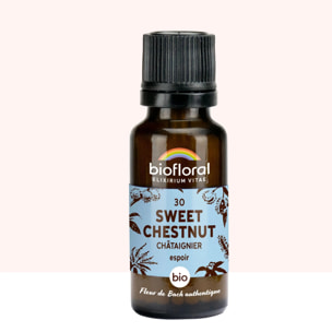 Biofloral - 30 Sweet Chestnut, Châtaignier - Bio - 19,5 gr