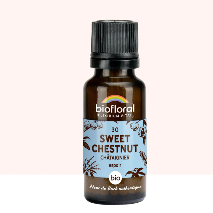 Biofloral - 30 Sweet Chestnut, Châtaignier - Bio - 19,5 gr