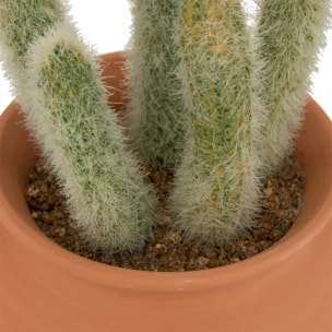 Cactus en pot "Alicante" terracotta H16,5cm