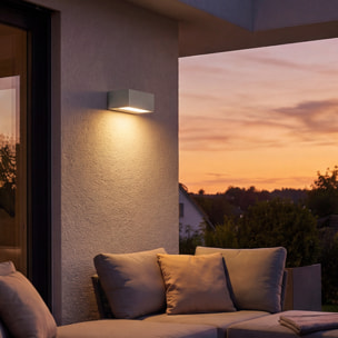 LEDS C4 Aplique Ip66 Nemesis Aluminium 70*170Mm R7S 100W Gris 640Lm