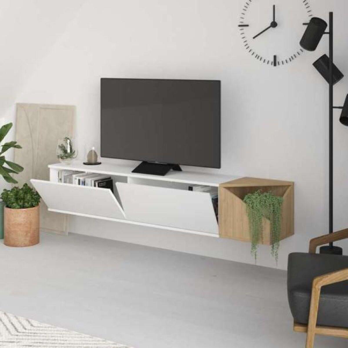 Mueble Tv Aulos 2 Puertas