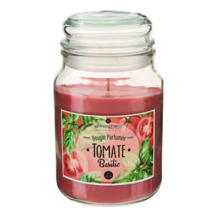 Bougie parfumée 490g Eloa