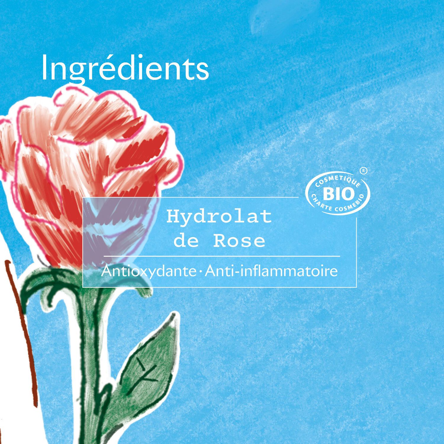 Véritable Eau Florale - Rose Ancienne Bio 200 ml