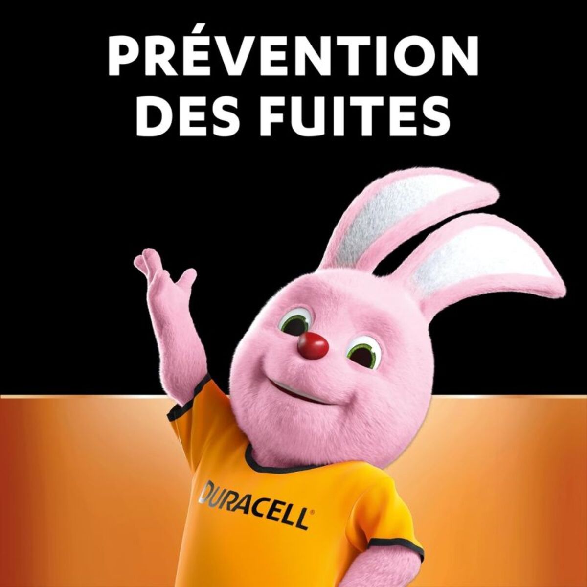 Pile DURACELL MN21 2 piles A23