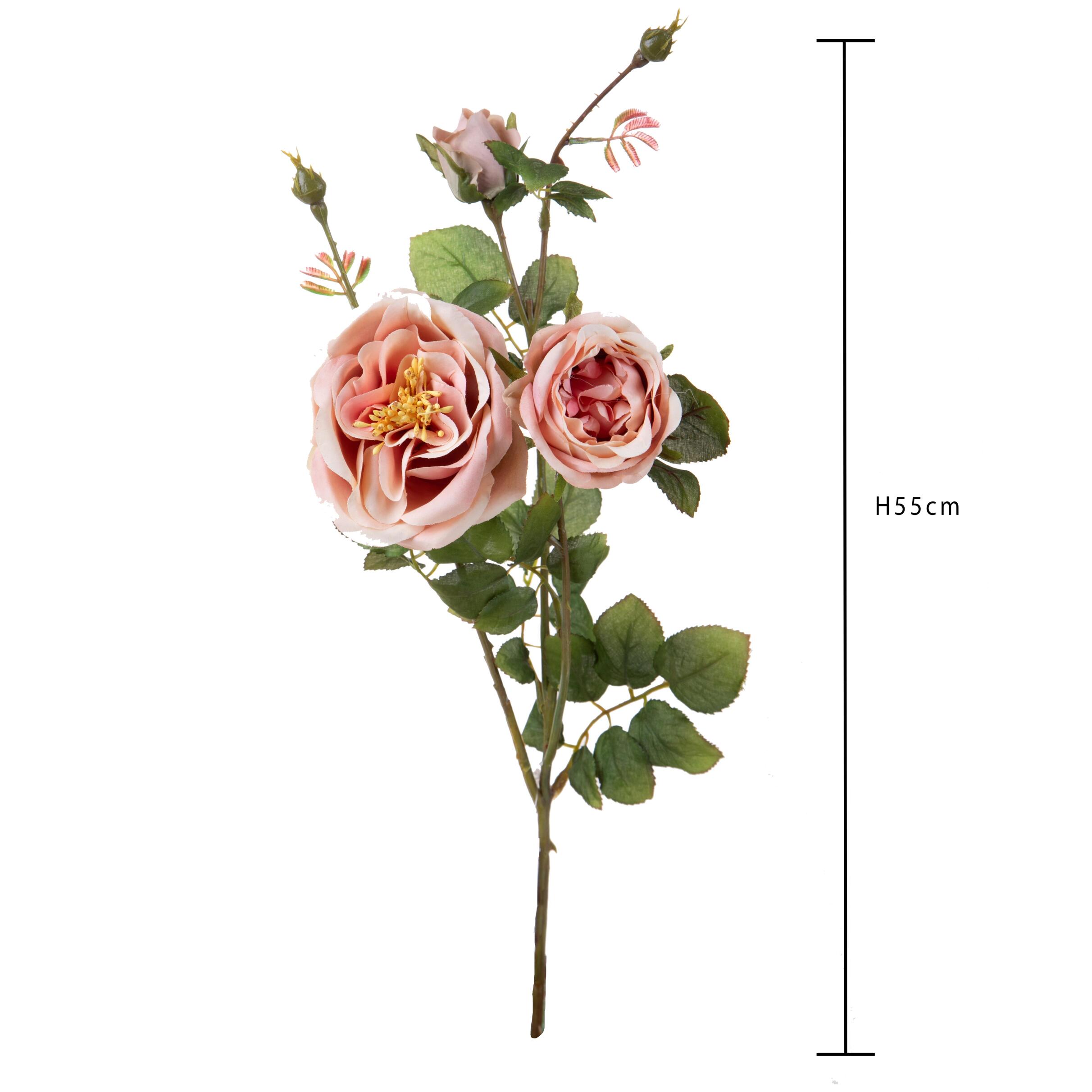 Rosa romantica - Pezzi 2 - Colore:Rosa - Bianchi Dino