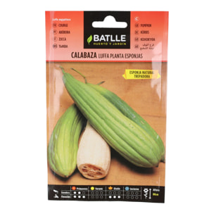 Semillas de Calabaza luffa Batlle