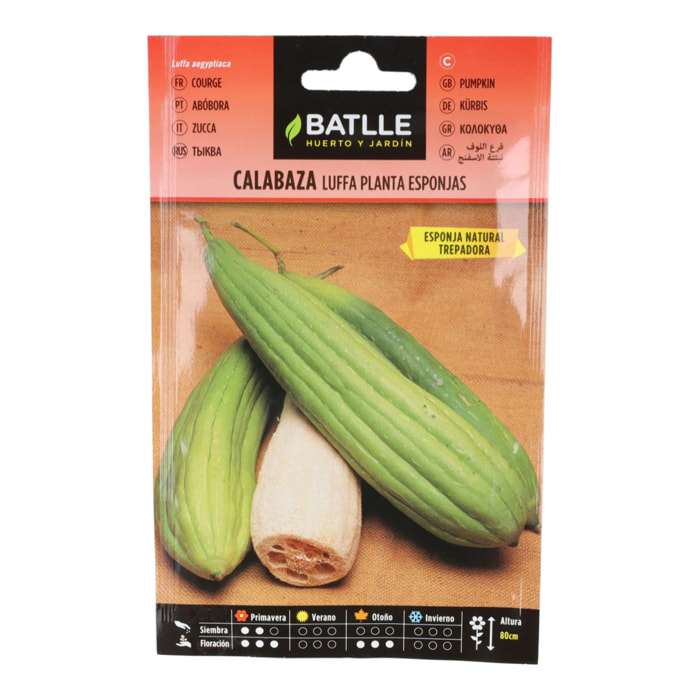 Semillas de Calabaza luffa Batlle