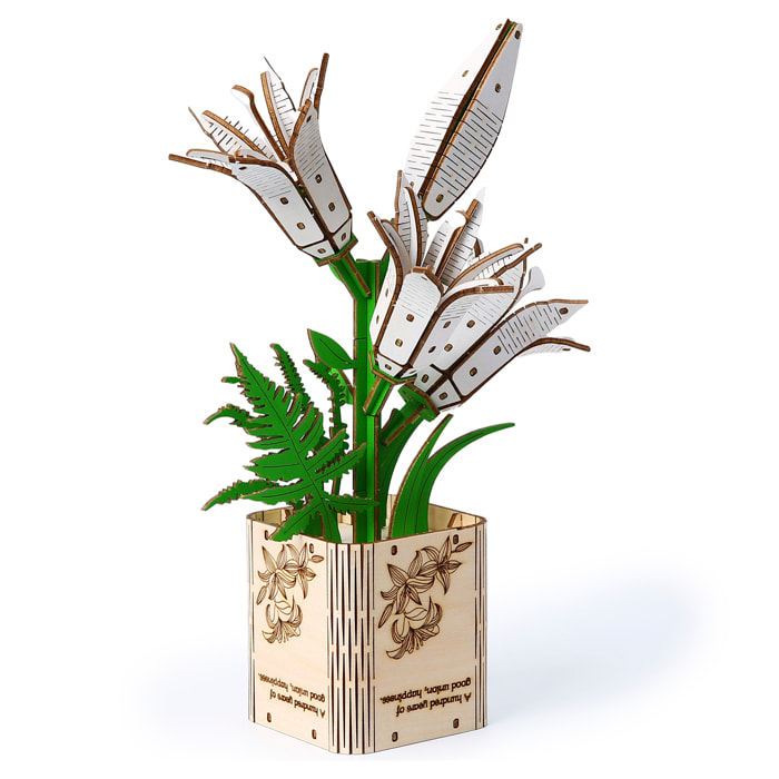 Modello in Legno 3D, design di Giglio. 136 pezzi.