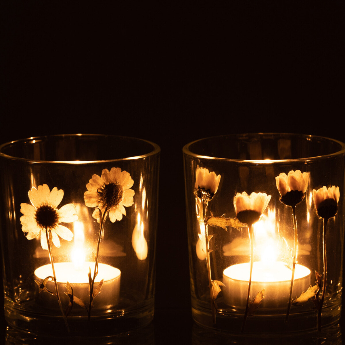 J-Line photophore Fleur Marguerite - verre - mix - small - 2 pièces