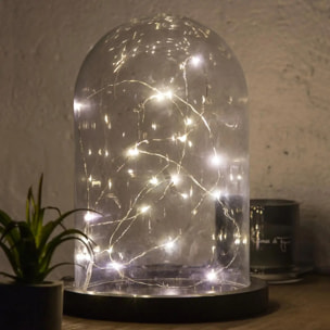 Guirlandes "Anya" 20 microLED à pile argent blanc chaud L190cm