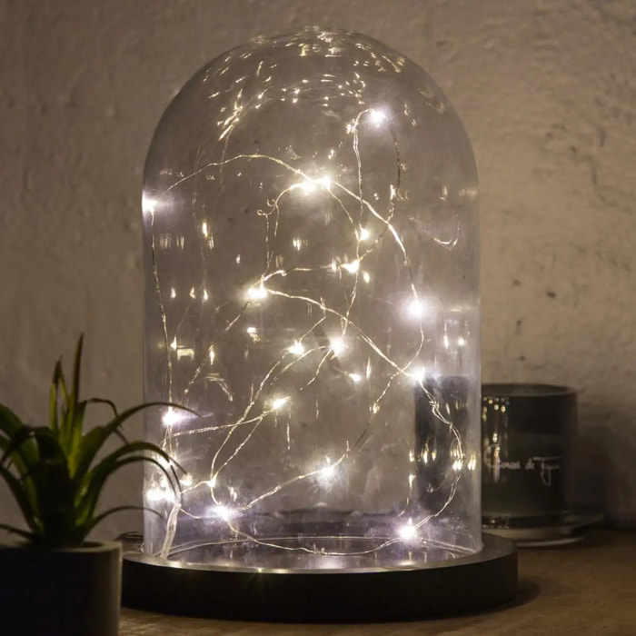 Guirlandes "Anya" 20 microLED à pile argent blanc chaud L190cm