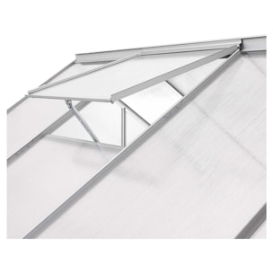 Serre jardin polycarbonate 310 x 190 x 195 cm "Basilic" - 5,89 m² - Gris