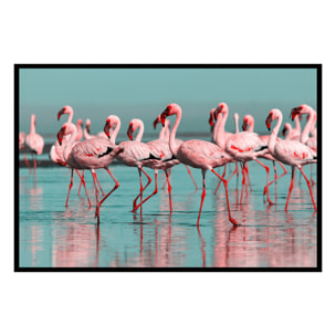 Affiche encadrée flamants roses en groupe Affiche + cadre en métal - Noir