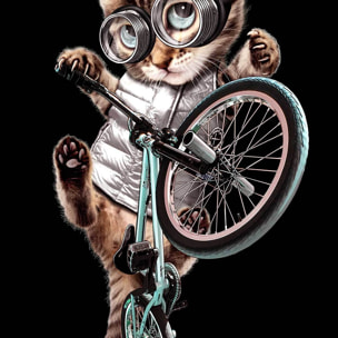 Affiche enfant bmx chat  Affiche + cadre en bois - Noir