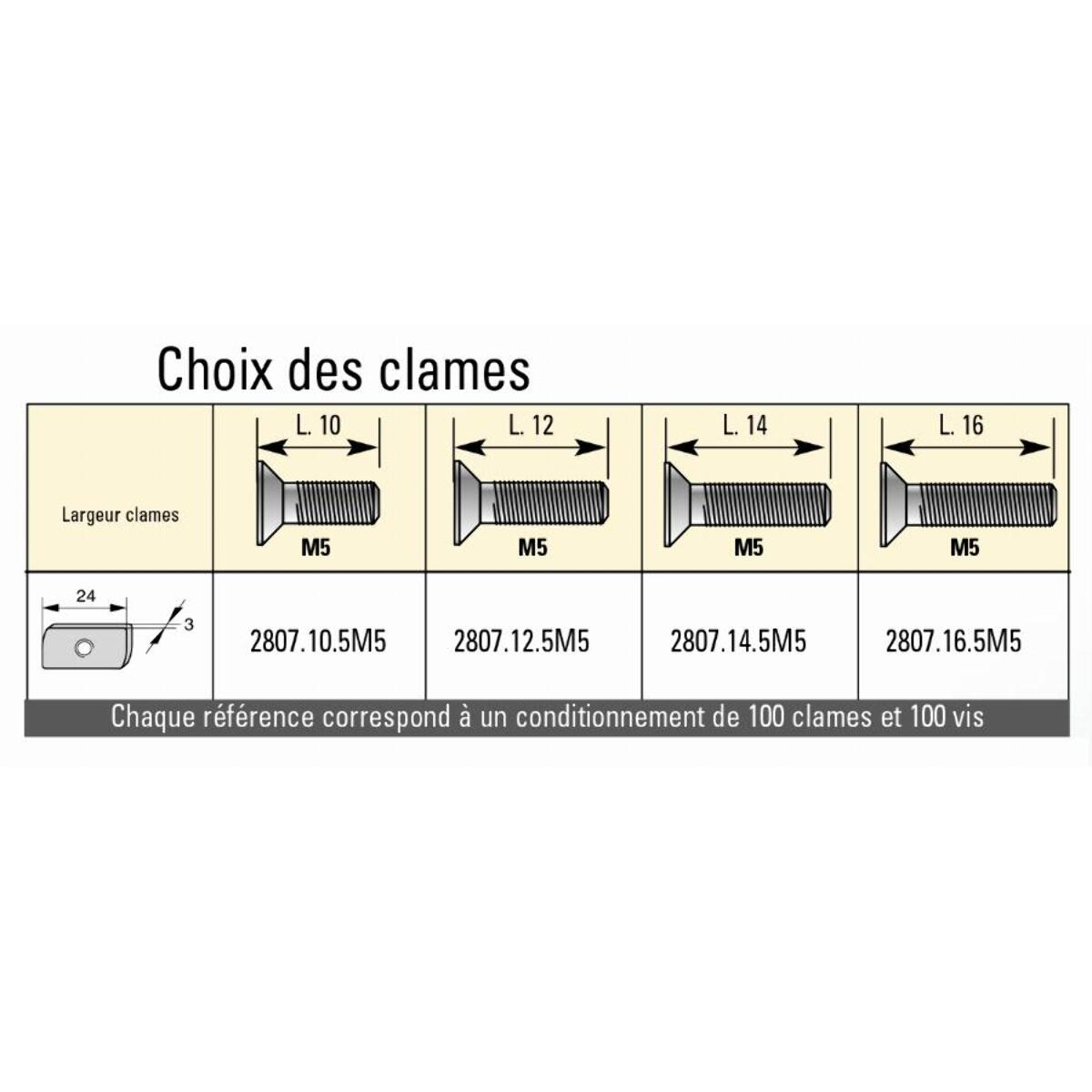 Clame L.24.5 + Vis M5 x 12 mm ASSA ABLOY - 2807.12.3M5