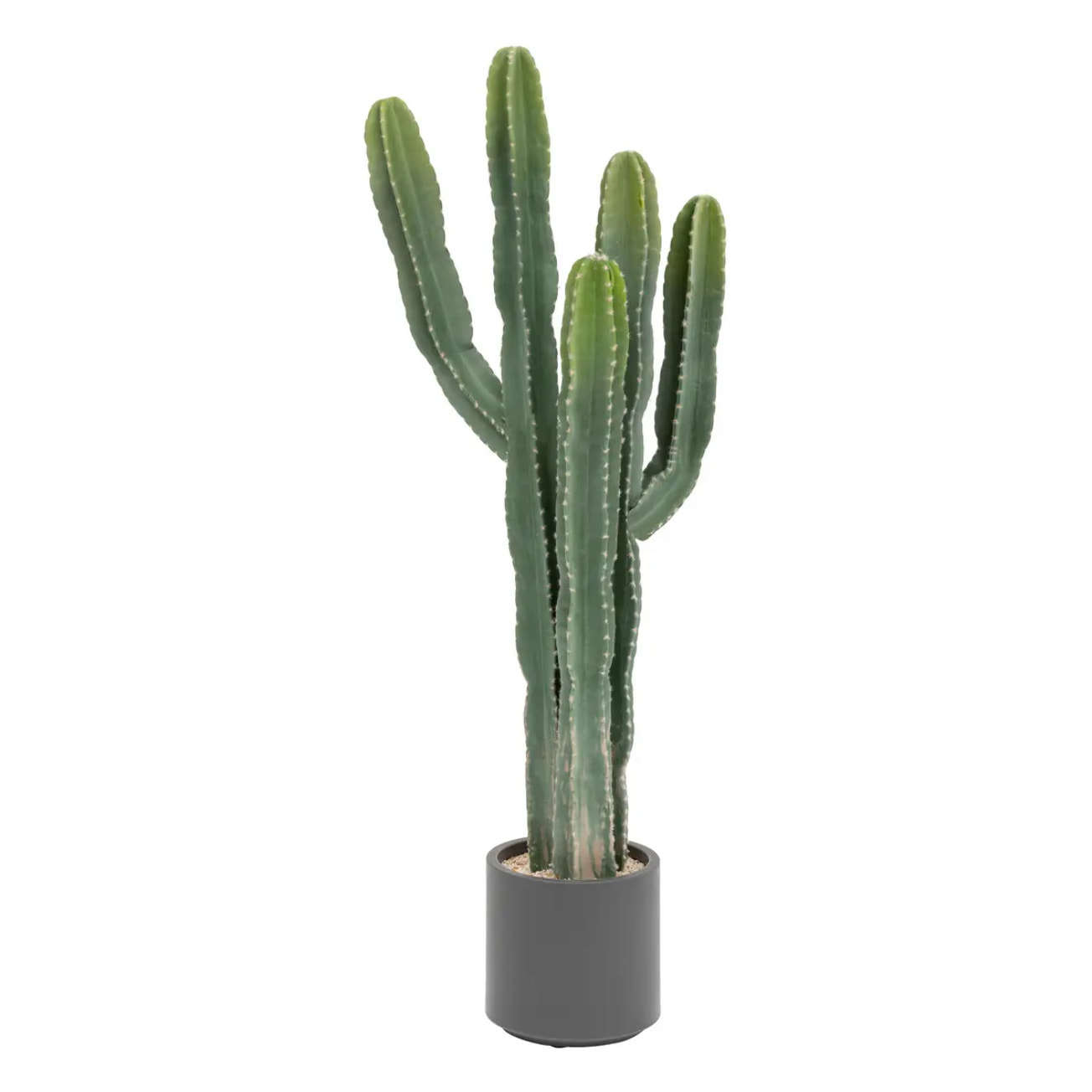 Cactus "Exotic Panama" H117cm vert