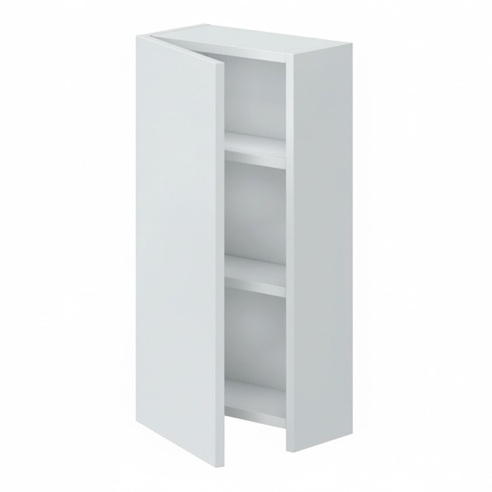 Pensile Bagno Sospeso Con Anta Reversibile 2 Ripiani Regolabili Mobile Salvaspazio Da Parete Per Bagni Moderni E Piccoli Spazi 60 x 30 x 16 Cm Bianco