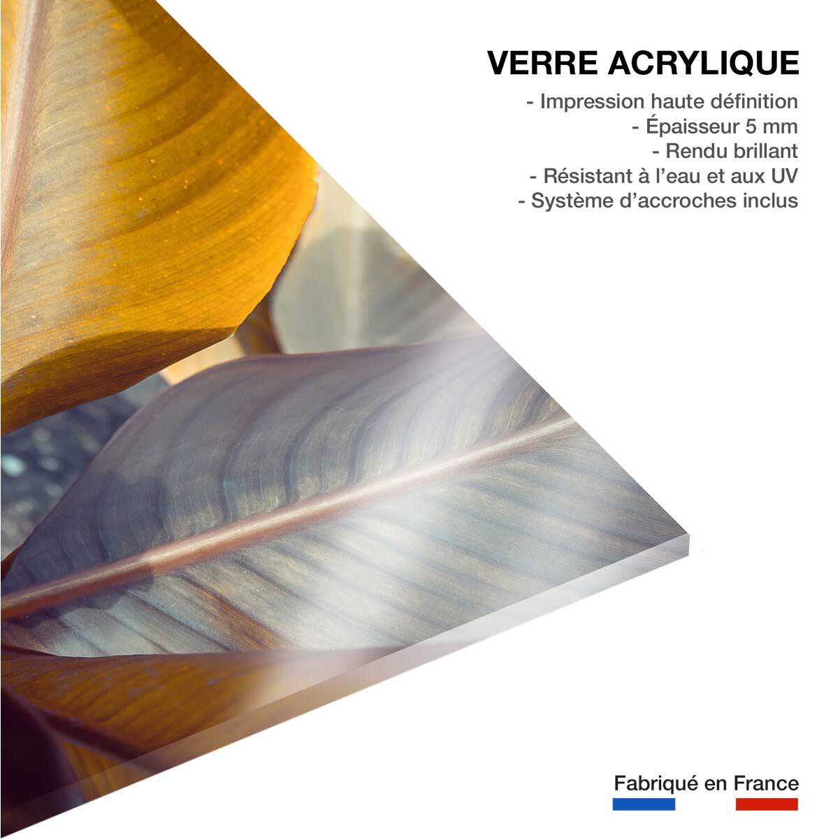 Tableau palm leaves y Tableau plexiglas