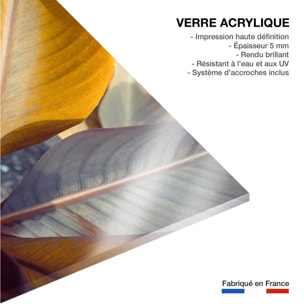 Tableau palm leaves y Tableau plexiglas