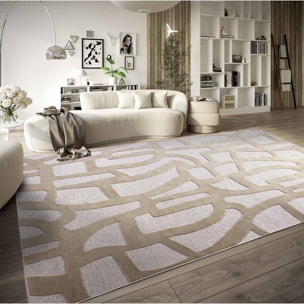 Tapis kilim, motif géométrique authentique, kilim tissé, fylo