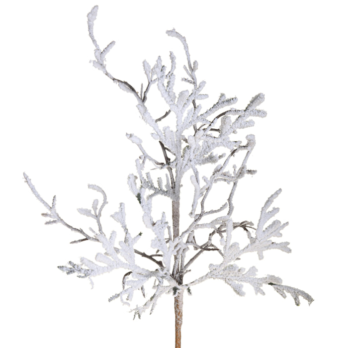 Ramo - Pezzi 12 - 12xH50x8cm - Bianchi Dino SpA