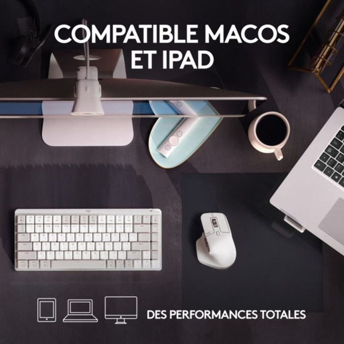 Souris sans fil rechargeable LOGITECH Mx Master 3s pour Mac Gris Pale