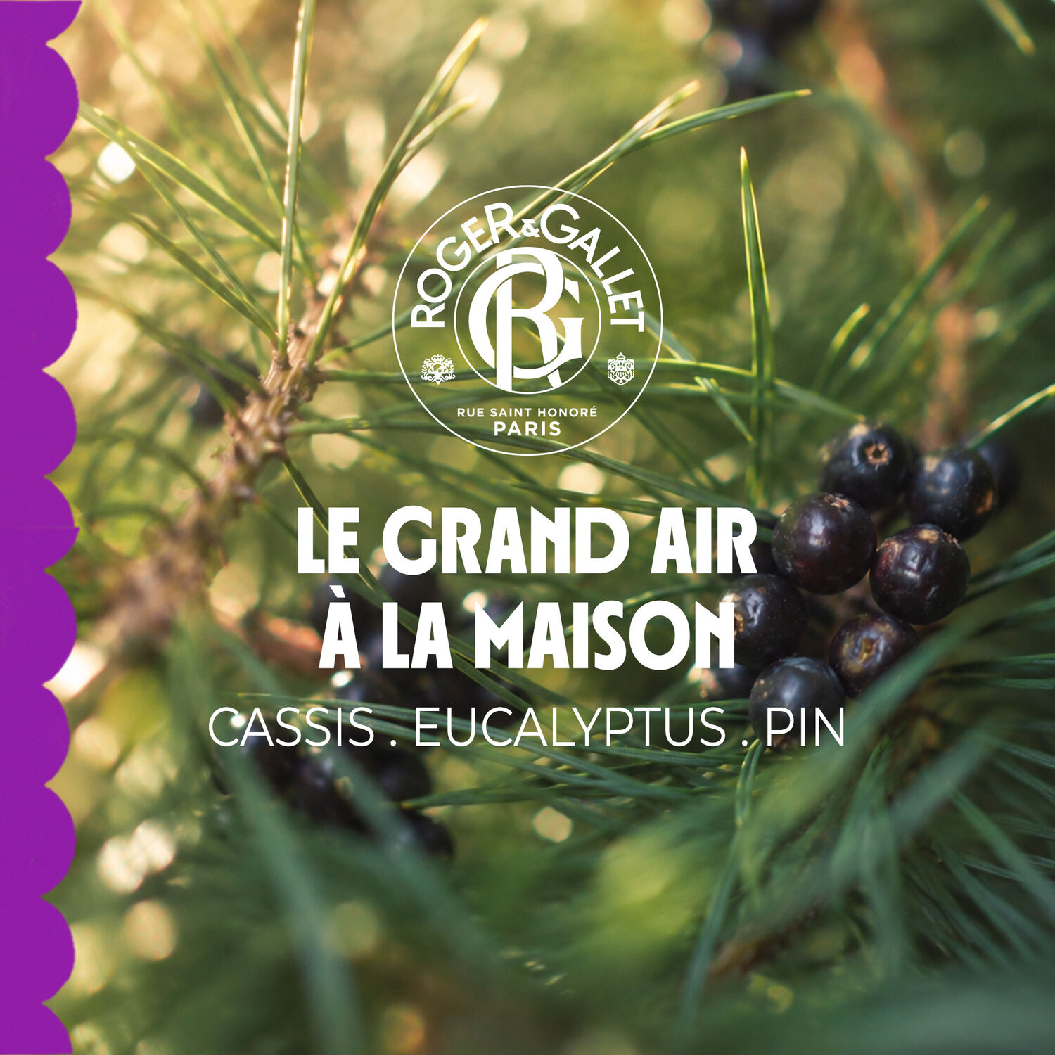 Souffle Un Coup - Parfum d'Intérieur 100 ml