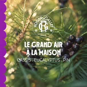 Souffle Un Coup - Parfum d'Intérieur 100 ml