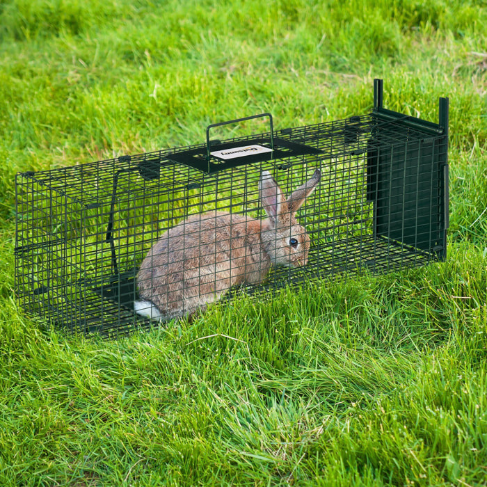 Piège de capture pour petits animaux type lapin rat - entrée, poignée - dim. 60L x 18l x 20H cm - métal vert