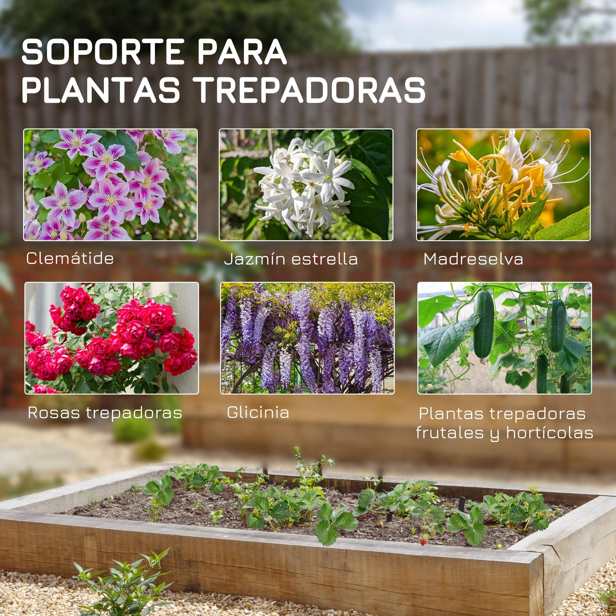 Juego de 2 Enrejados de Jardín Soportes para Enredaderas con Marco de Acero para Plantas Trepadoras y Decoración Patio Terraza 55x128 cm Negro