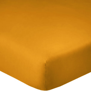 Drap housse coton safran