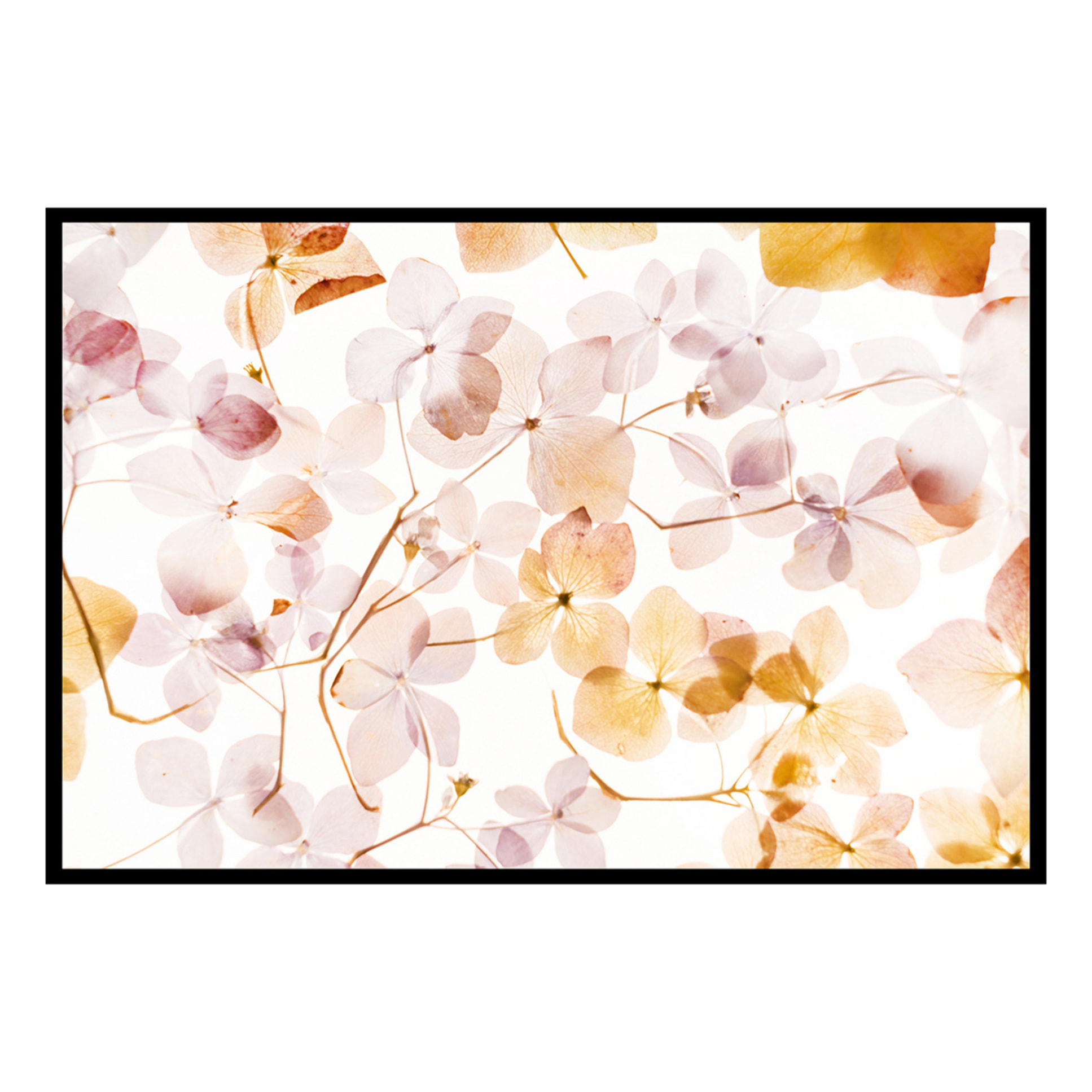 Affiche florale lumineuse affiche encadréee affiche cuisine Affiche + cadre en métal - Noir
