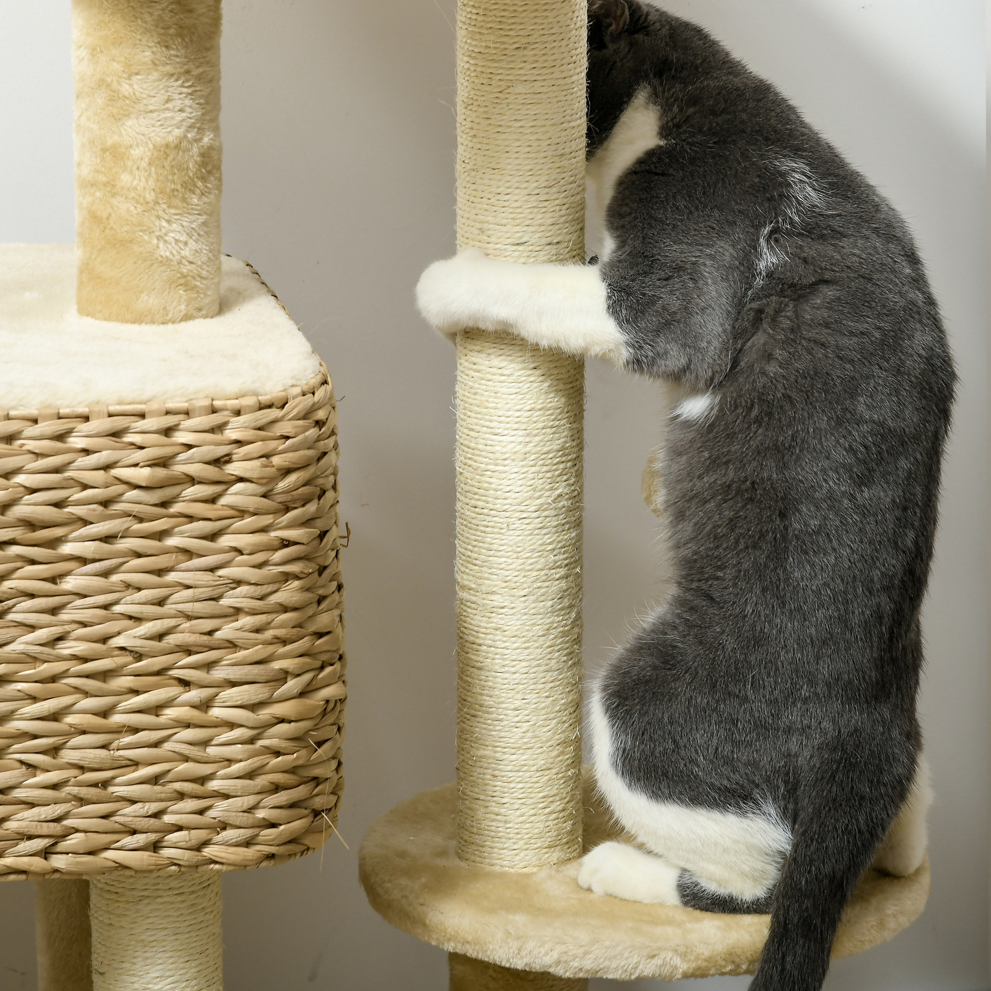 Arbre à chat style cosy chic griffoirs sisal naturel équipement multiple peluche jacinthe d'eau beige