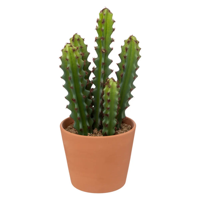 Cactus artificiel "Ali" - H25 cm