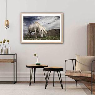 Affiche Chevaux blancs Affiche + cadre en bois - Chêne