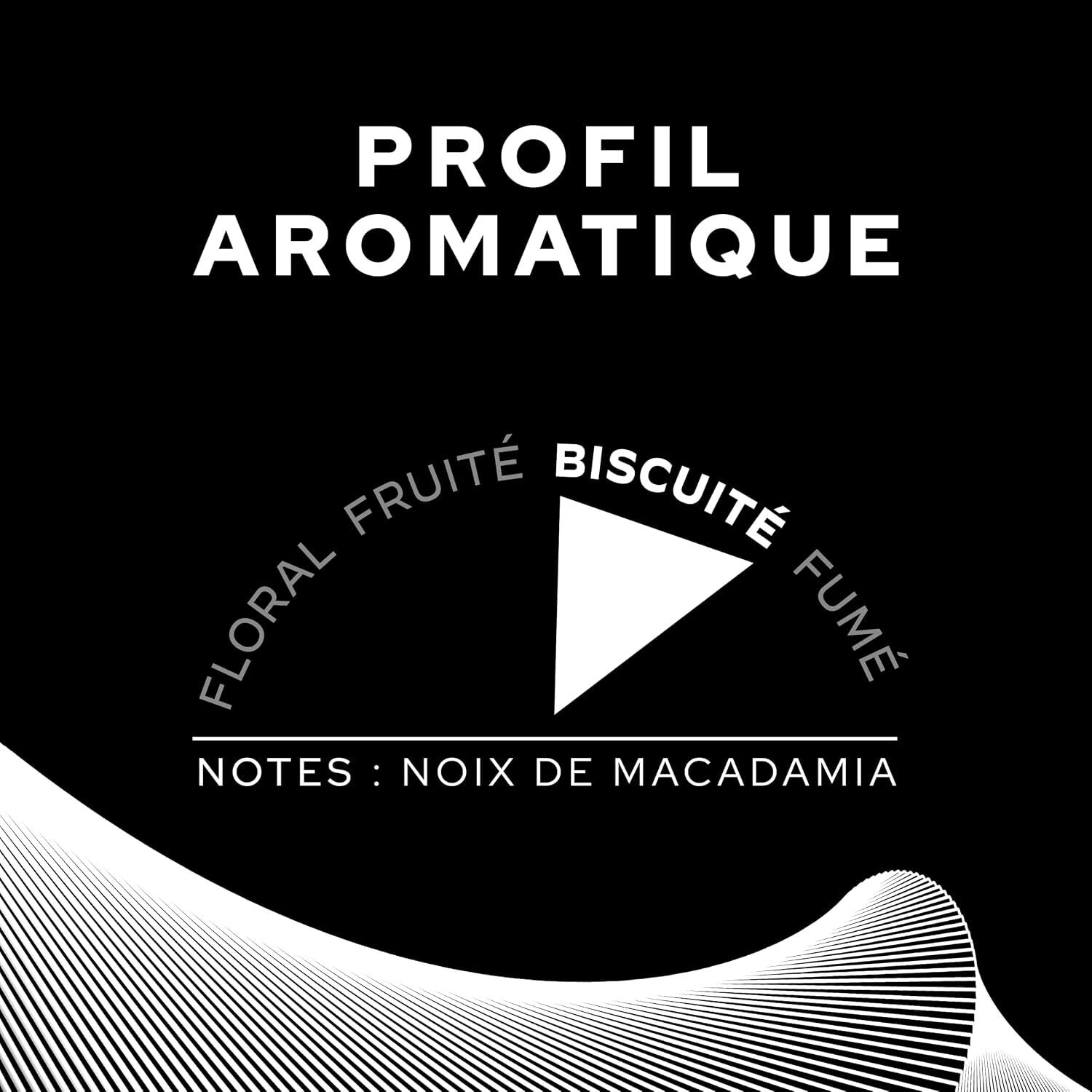 Café Moulu Brésil 2x250g - certifié Rainforest Alliance