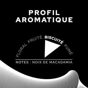 Café Moulu Brésil 2x250g - certifié Rainforest Alliance