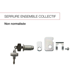Serrure batteuse longue pour boites aux lettres collectives normalisées (porte individuelle) - RENZ - 023720