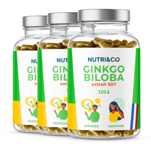 Ginkgo Biloba Qualité Supérieure Extrait 50:1 - 120 gélules Vegan - Lot de 3