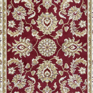 Tapis salon Rectangulaire Oriental