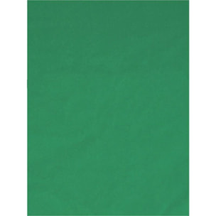 Fond vert TNB Fond vert